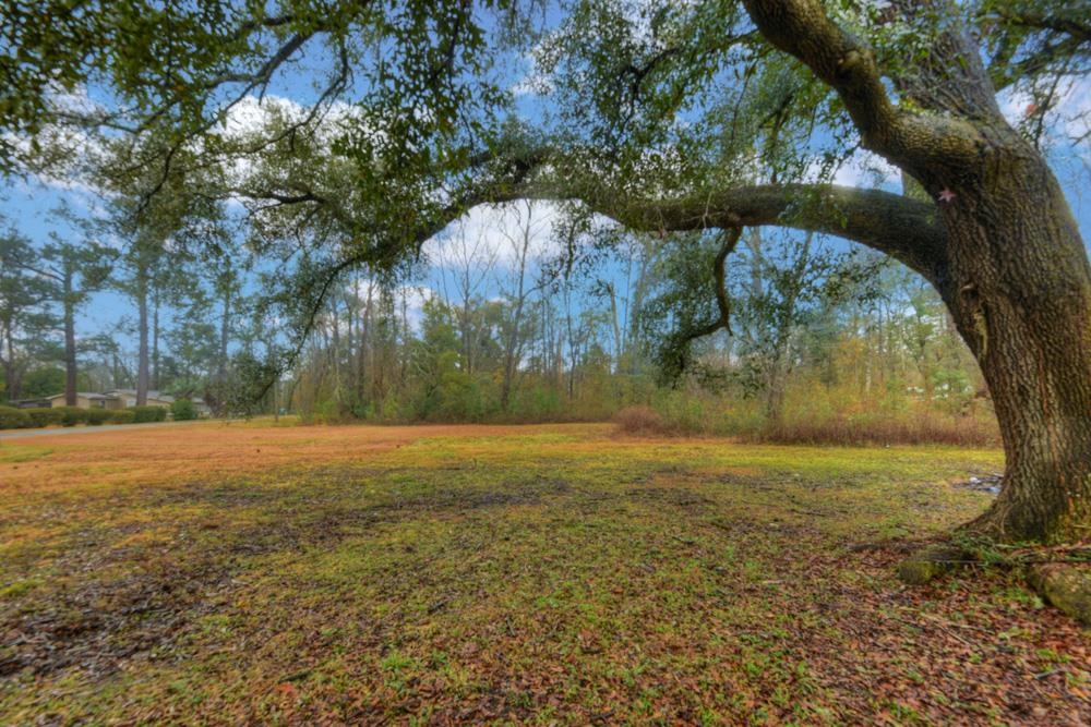 718 Crayfish Road Chattahoochee, FL 32324 - Photo 3 of 32 Gallery Image 3