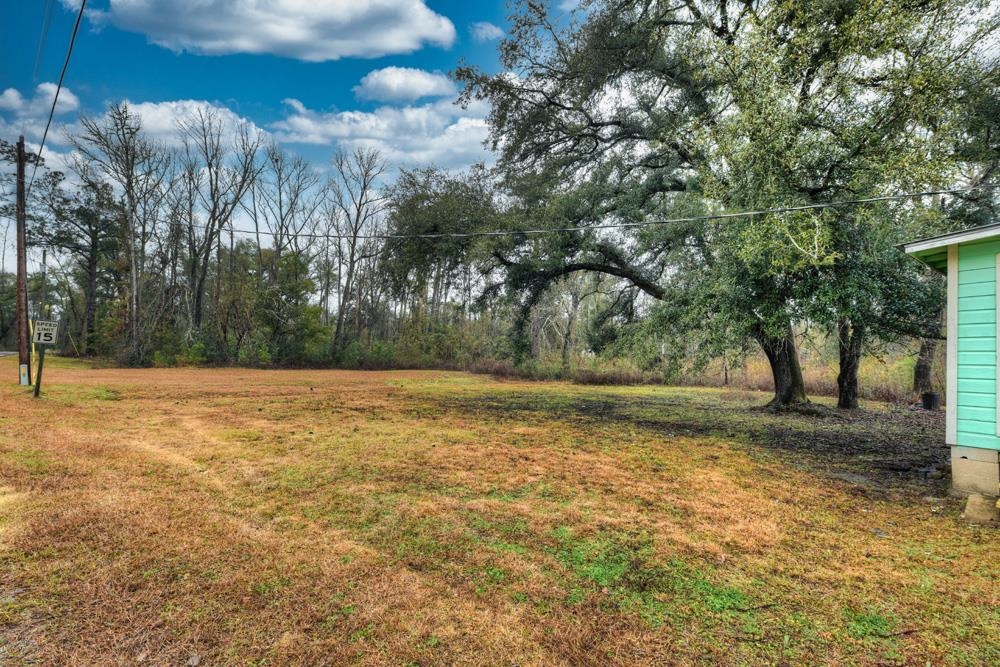718 Crayfish Road Chattahoochee, FL 32324 - Photo 4 of 32 Gallery Image 4