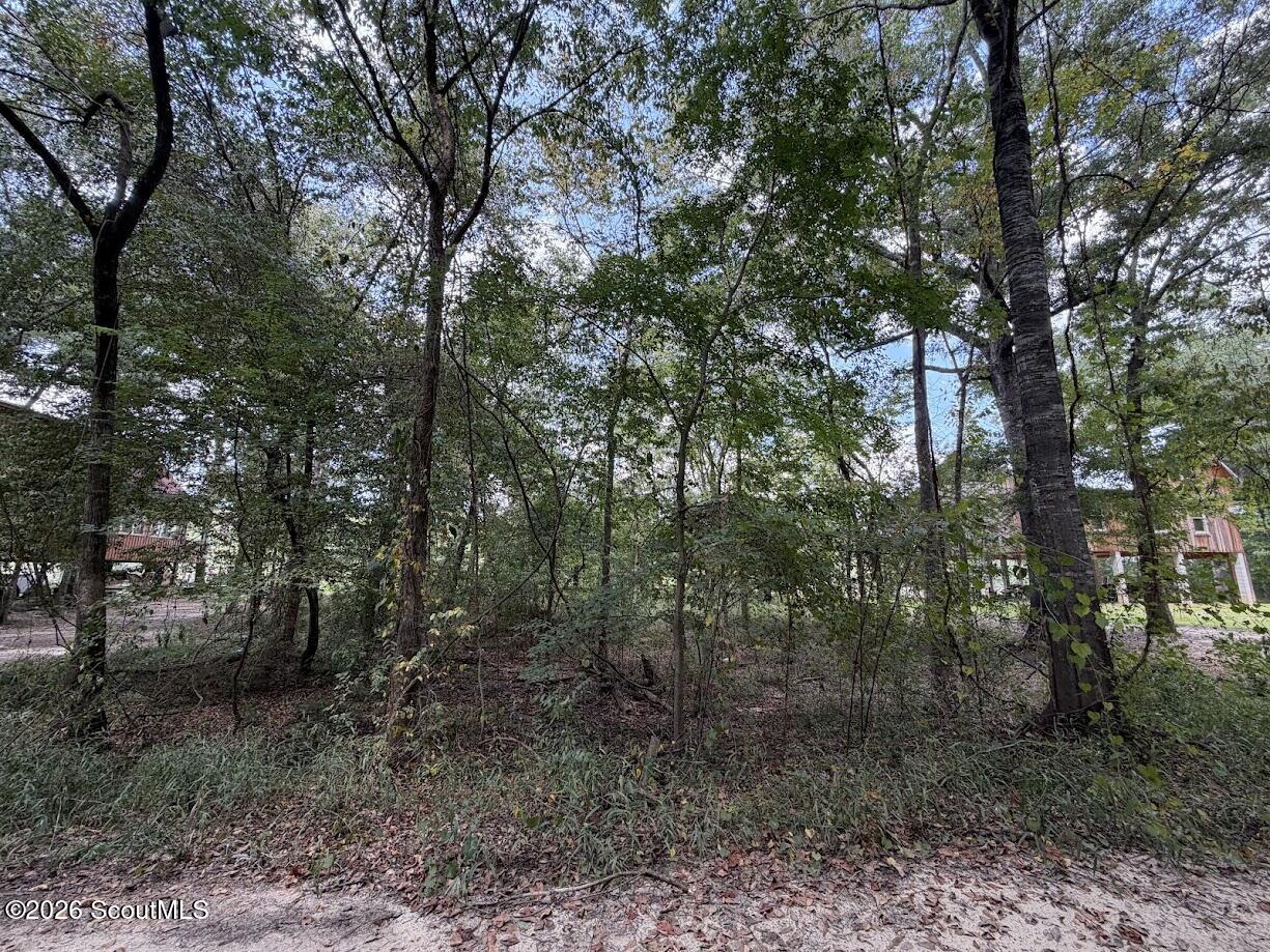 761 Addie Street Jesup, GA 31545 - Photo 7 of 16 6