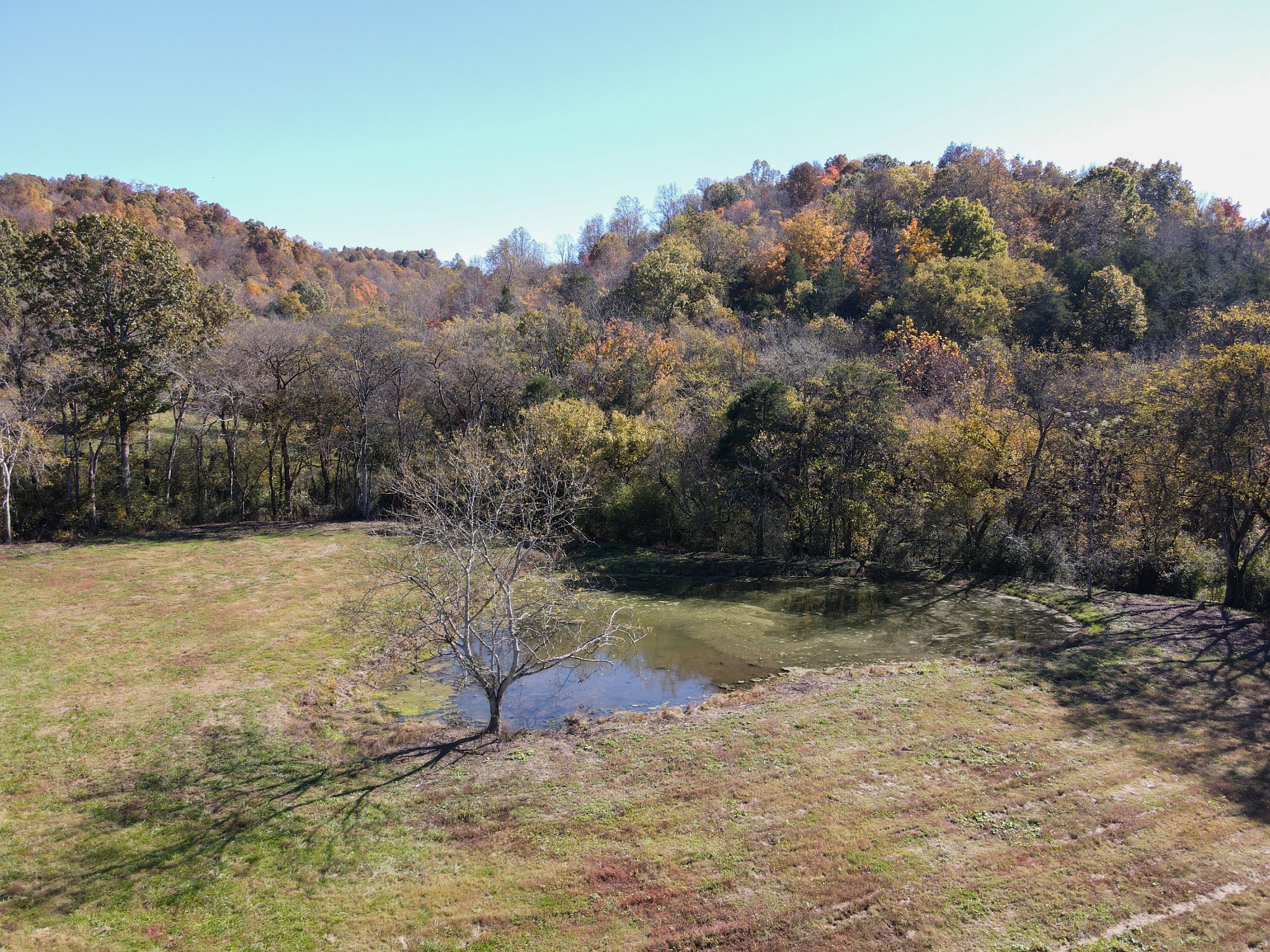 3 Tallent Road Pulaski, TN 38478 - Photo 11 of 22 a view of a yard with mountain