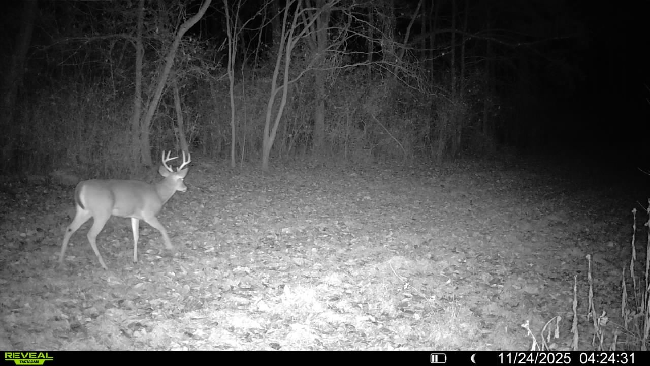 3 Tallent Road Pulaski, TN 38478 - Photo 13 of 22 a view of outdoor space