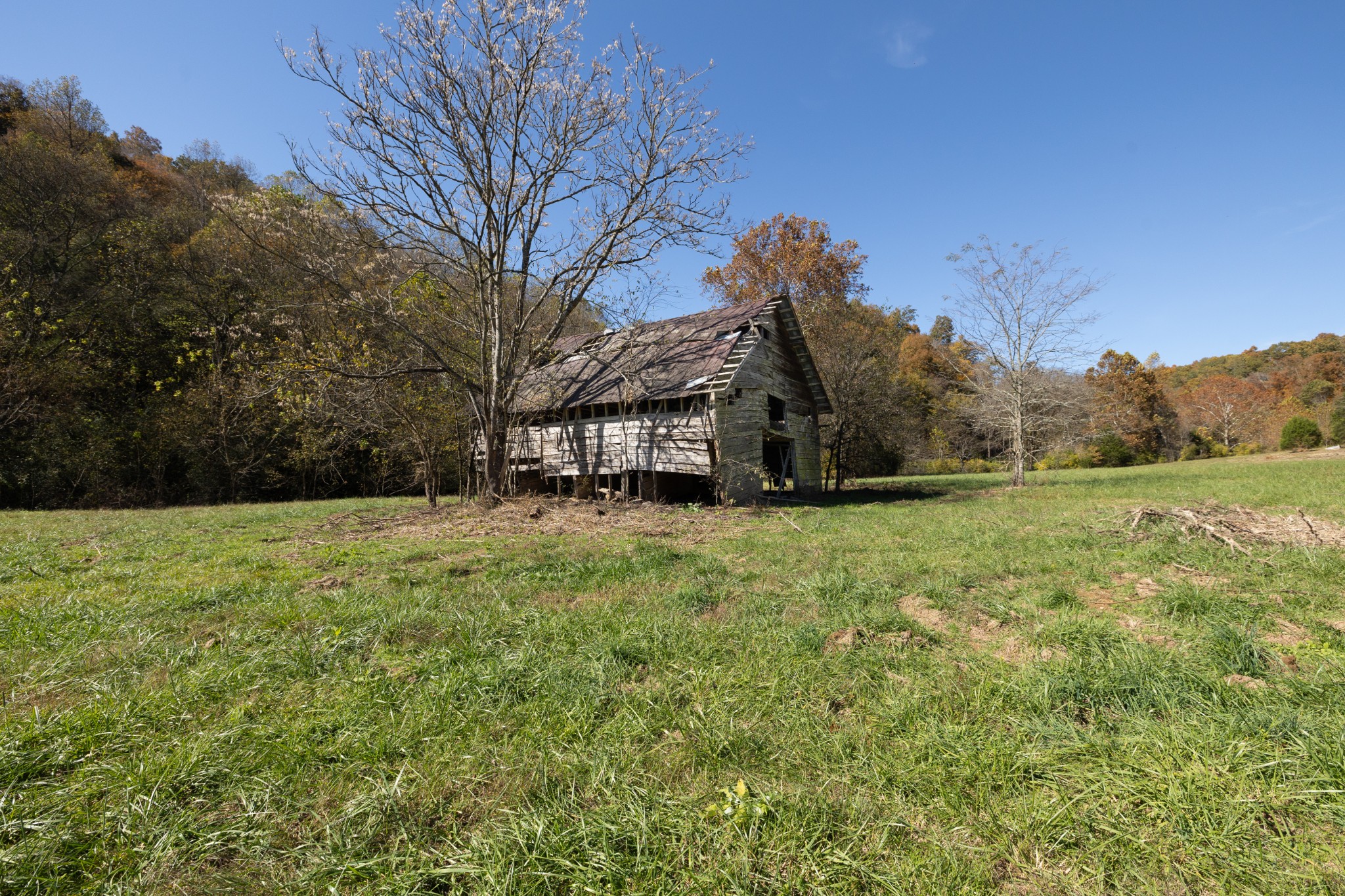 3 Tallent Road Pulaski, TN 38478 - Photo 2 of 22 a view of a house with a yard