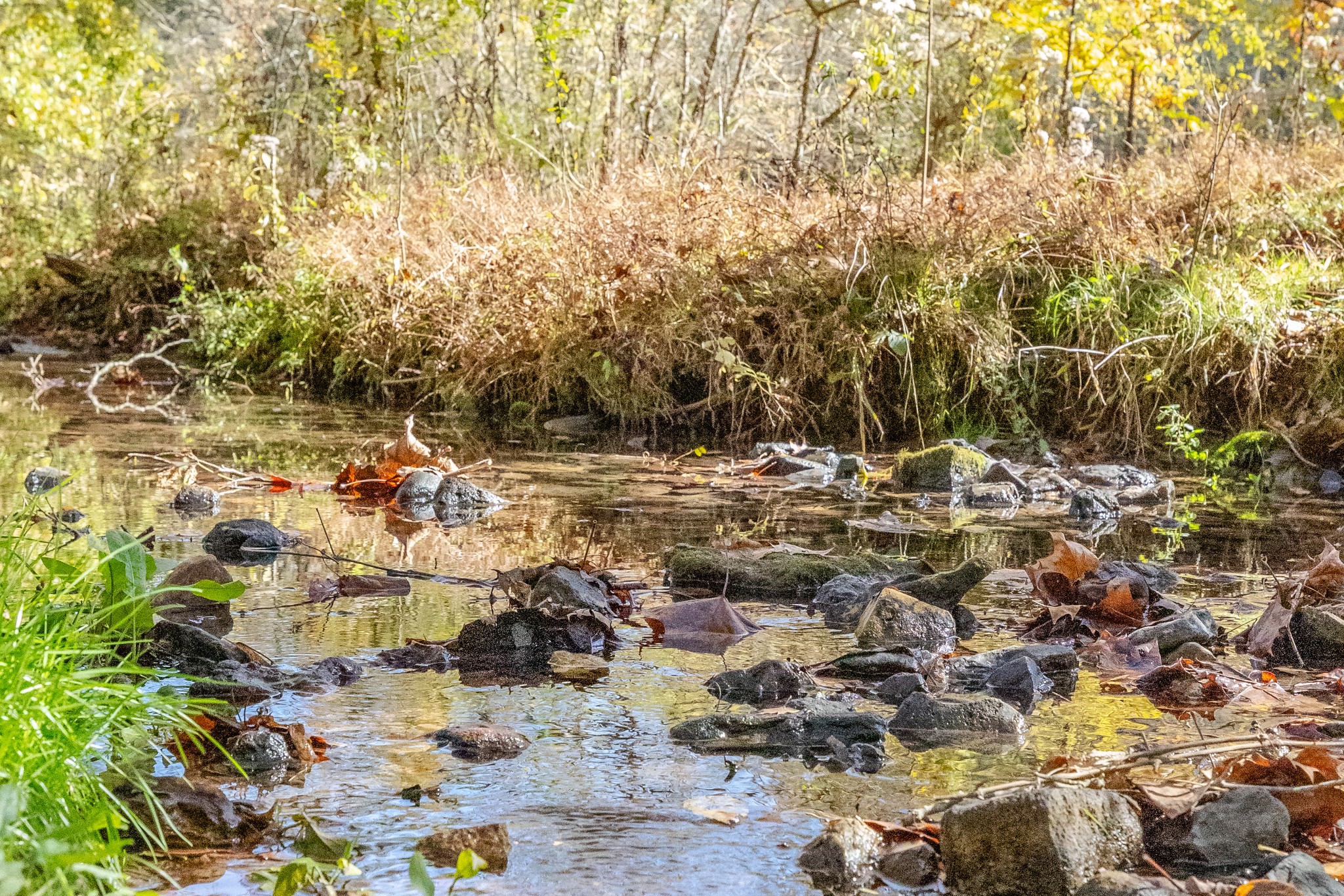 3 Tallent Road Pulaski, TN 38478 - Photo 8 of 22 a view of outdoor space with seating area