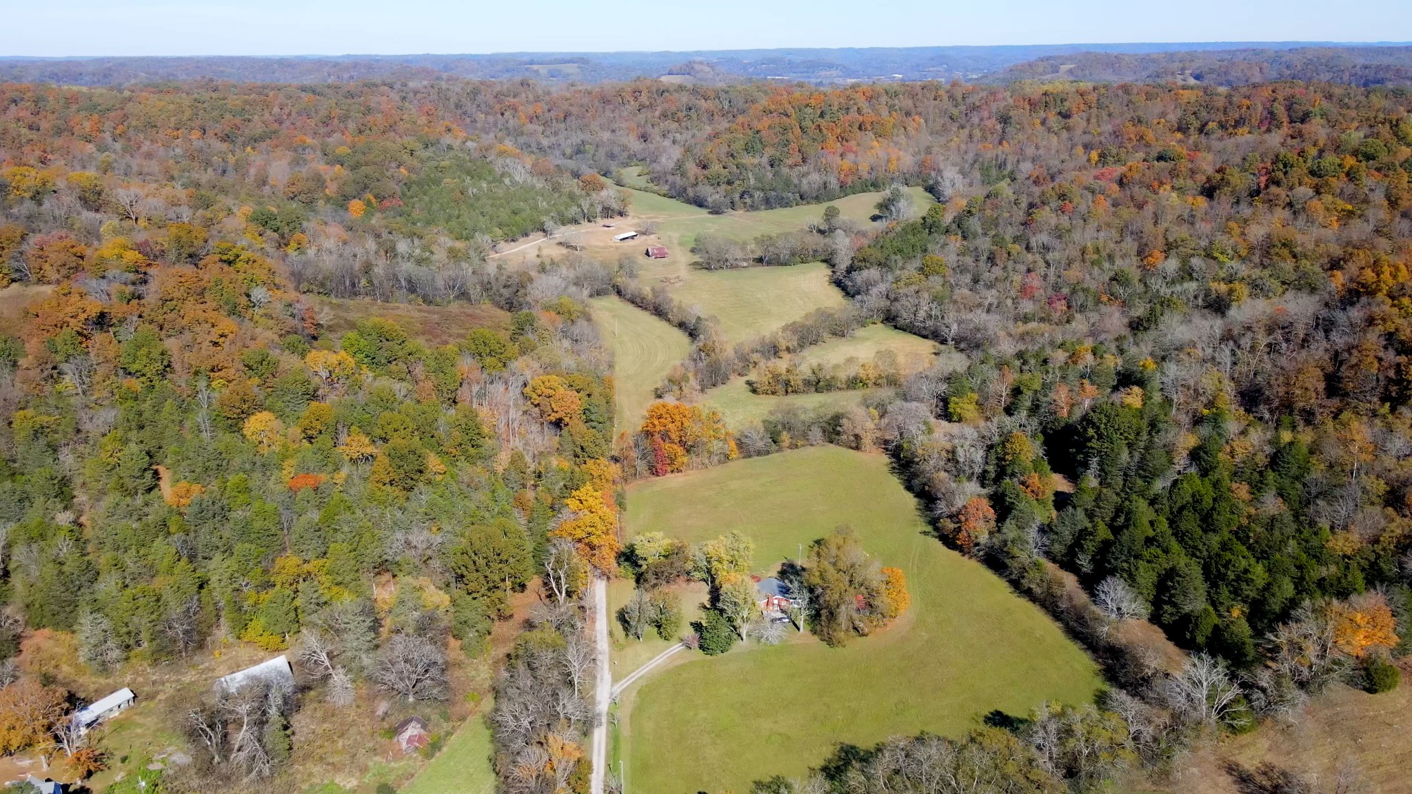 3 Tallent Road Pulaski, TN 38478 - Photo 9 of 22 a view of a forest