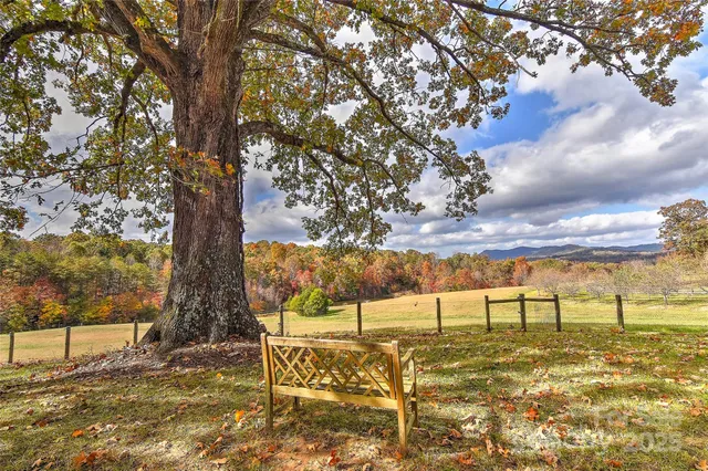a view of a lake with a tree
