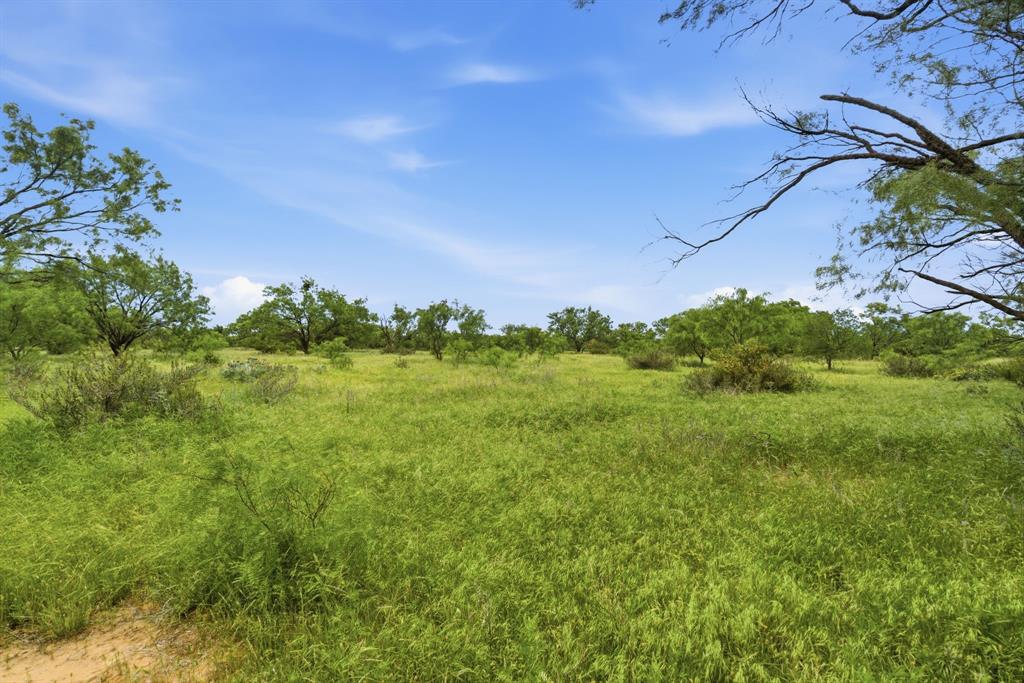 1 Fm 880 Moran, TX 76464 - Photo 2 of 13