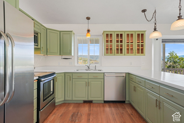 Wood-finish flooring with perimeter cabinetry, stainless steel appliances, and a window above the sink
