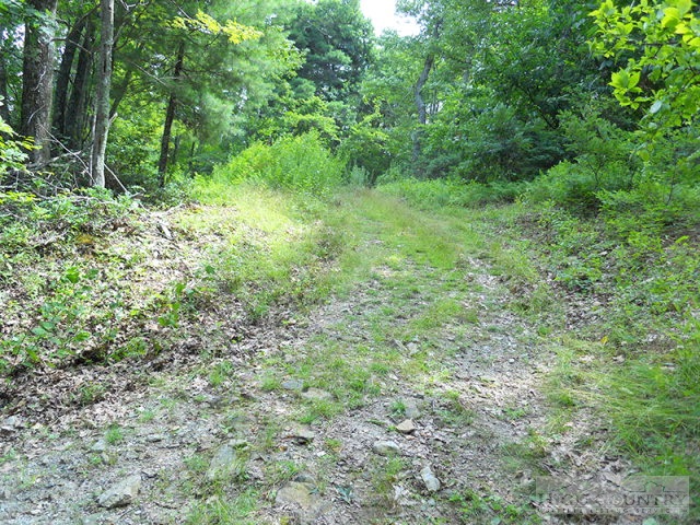 963-984 Dillard Coffey Road Boone, NC 28607 - Photo 11 of 11 Gallery Image 11