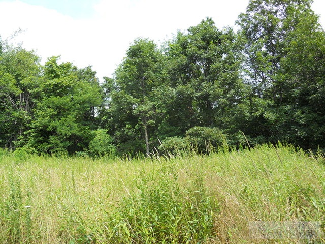 963-984 Dillard Coffey Road Boone, NC 28607 - Photo 2 of 11 Gallery Image 2