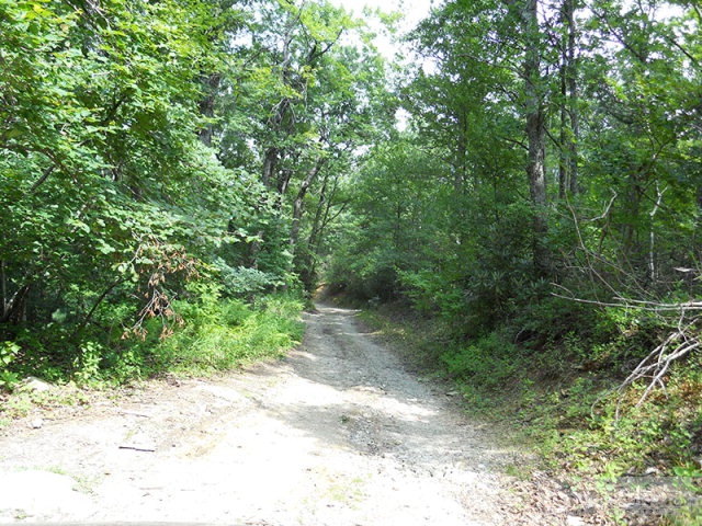 963-984 Dillard Coffey Road Boone, NC 28607 - Photo 3 of 11 Gallery Image 3