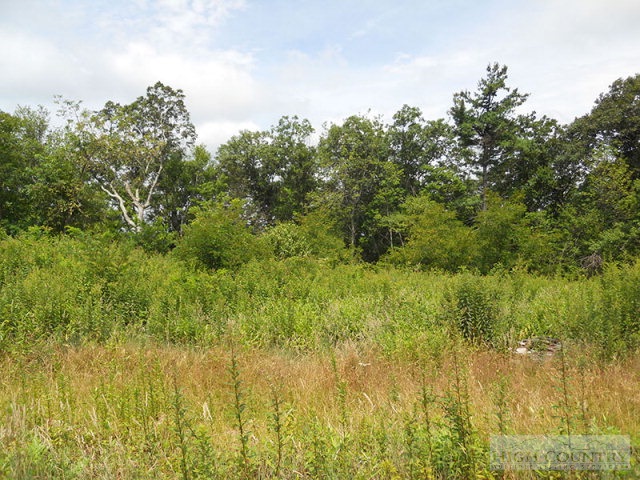 963-984 Dillard Coffey Road Boone, NC 28607 - Photo 4 of 11 Gallery Image 4