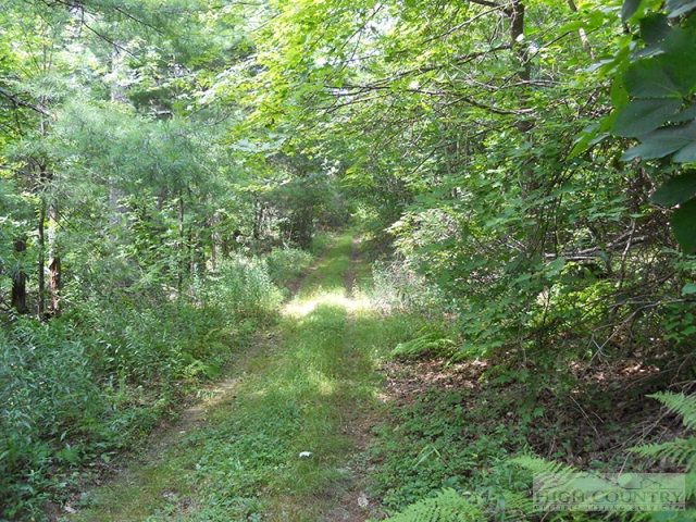 963-984 Dillard Coffey Road Boone, NC 28607 - Photo 5 of 11 Gallery Image 5