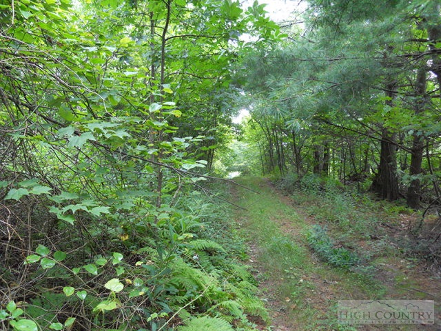 963-984 Dillard Coffey Road Boone, NC 28607 - Photo 7 of 11 Gallery Image 7