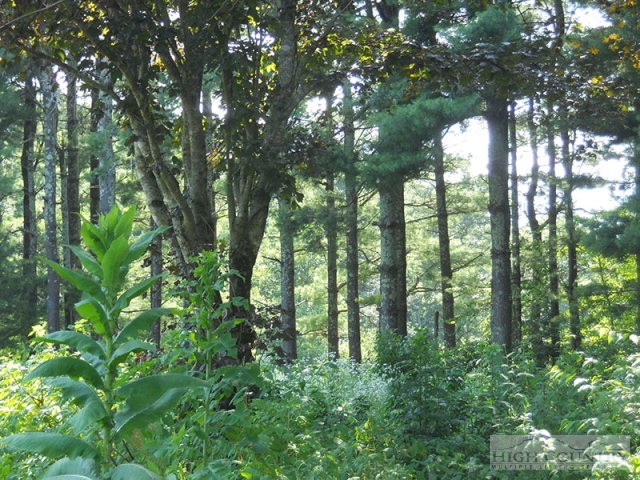 963-984 Dillard Coffey Road Boone, NC 28607 - Photo 8 of 11 Gallery Image 8