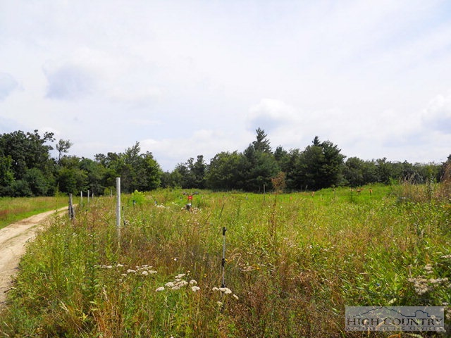 963-984 Dillard Coffey Road Boone, NC 28607 - Photo 10 of 11 Gallery Image 10