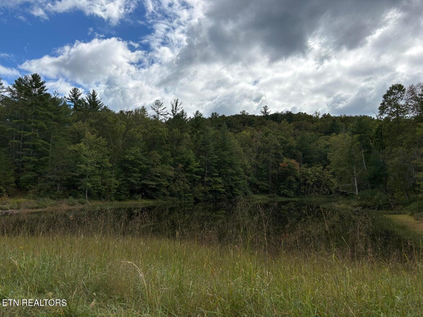 Lot 51 Sleepy Hollow Road Grandview, TN 37337 - Photo 4 of 6 20251008165443437534000000-o