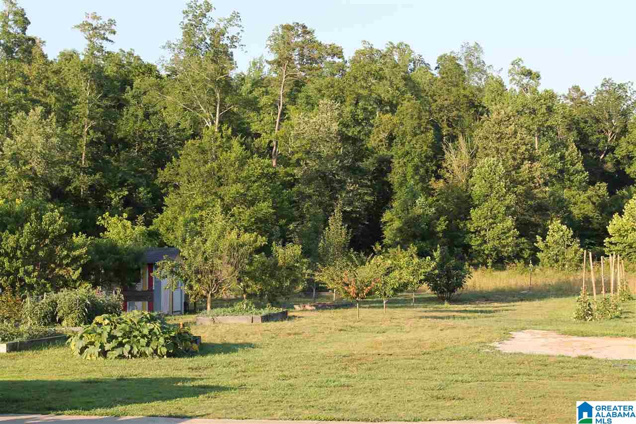 153 Ranch Road Jacksonville, AL 36265 - Photo 17 of 28