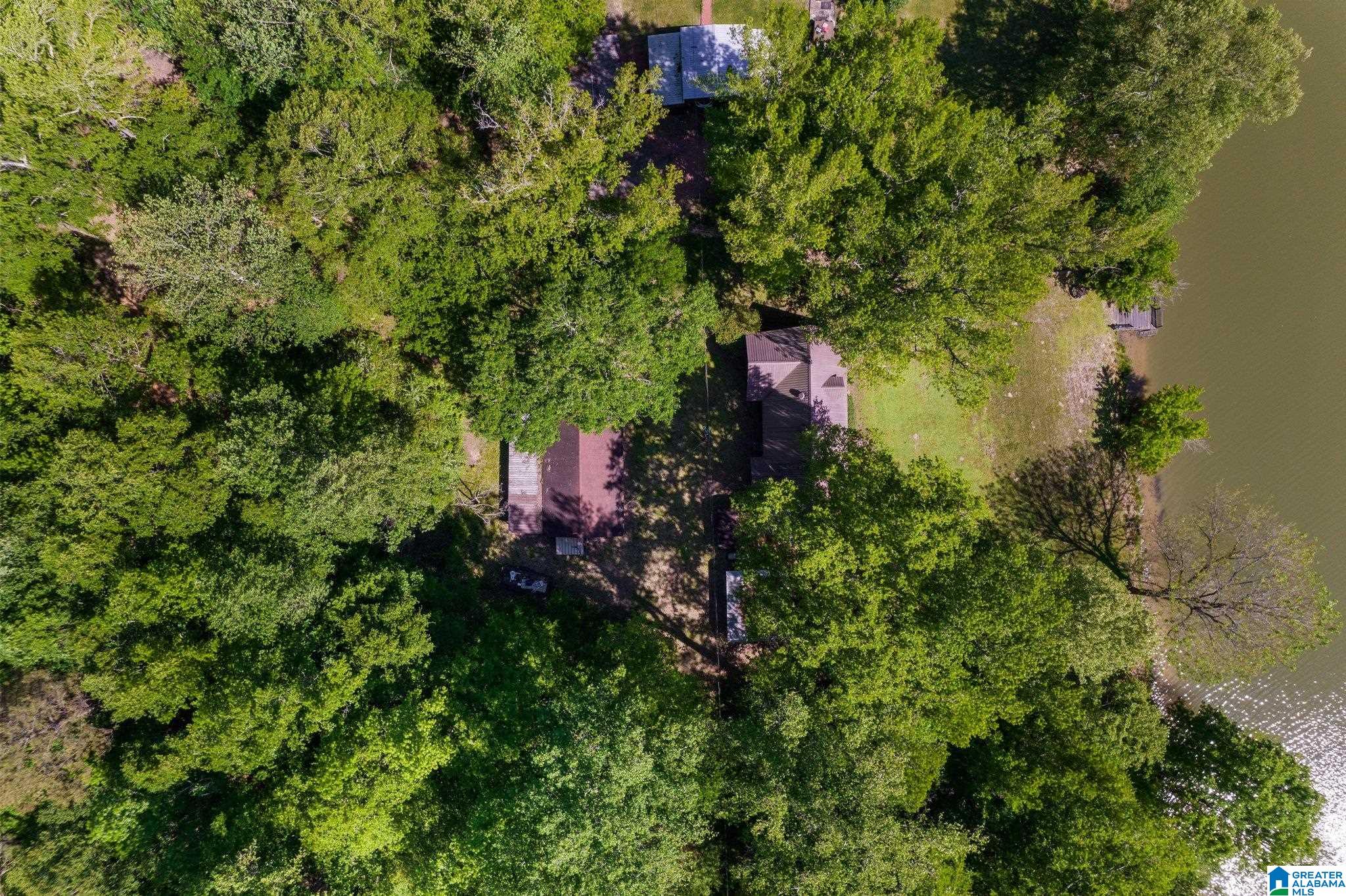 319 Washington Fish Camp Road Quinton, AL 35130 - Photo 28 of 31