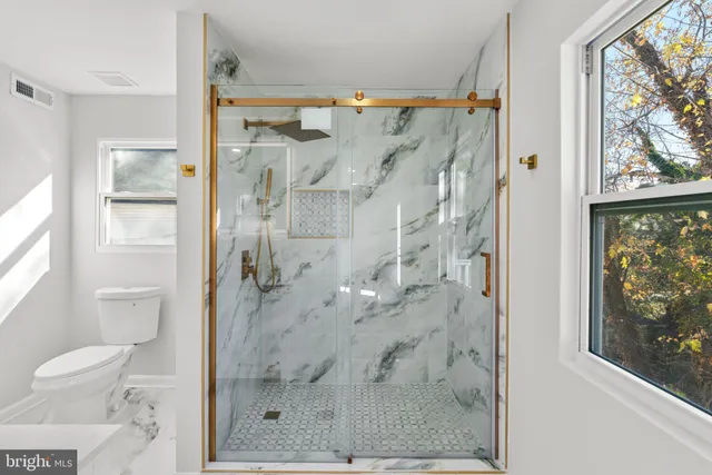 a bathroom with a shower and a toilet