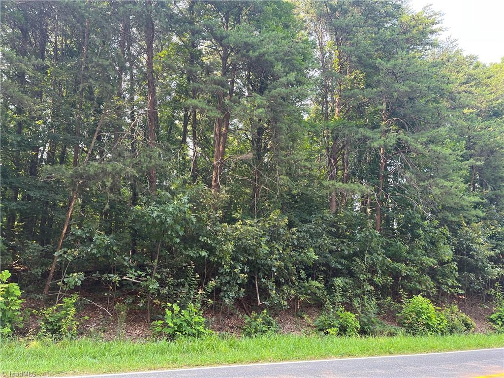1646 Bud Tilley Road Pinnacle, NC 27043 - Photo 7 of 9 Gallery Image 7