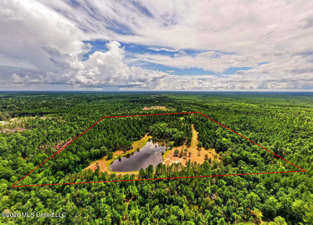 Wire Road Vancleave, MS 39565 - Photo 1 of 26 WireRdLand-6