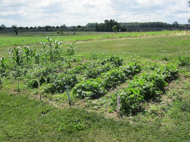 2661 County Road 79 Butler, IN 46721 - Photo 23 of 28