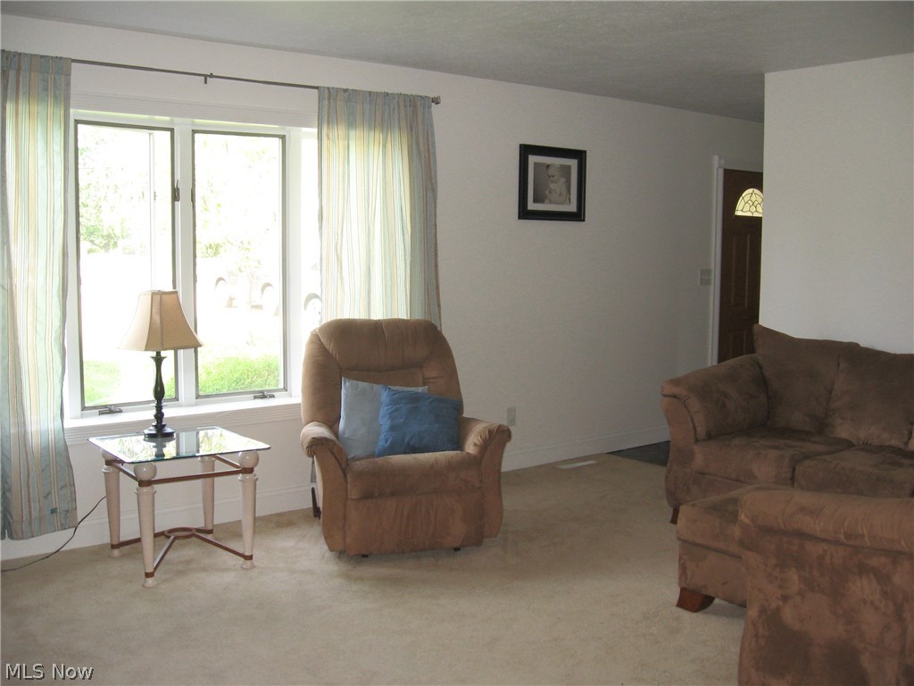 4214 Manchester Road Perry, OH 44081 - Photo 6 of 22