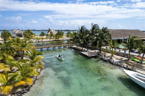 an aerial view of a house with a yard and lake view