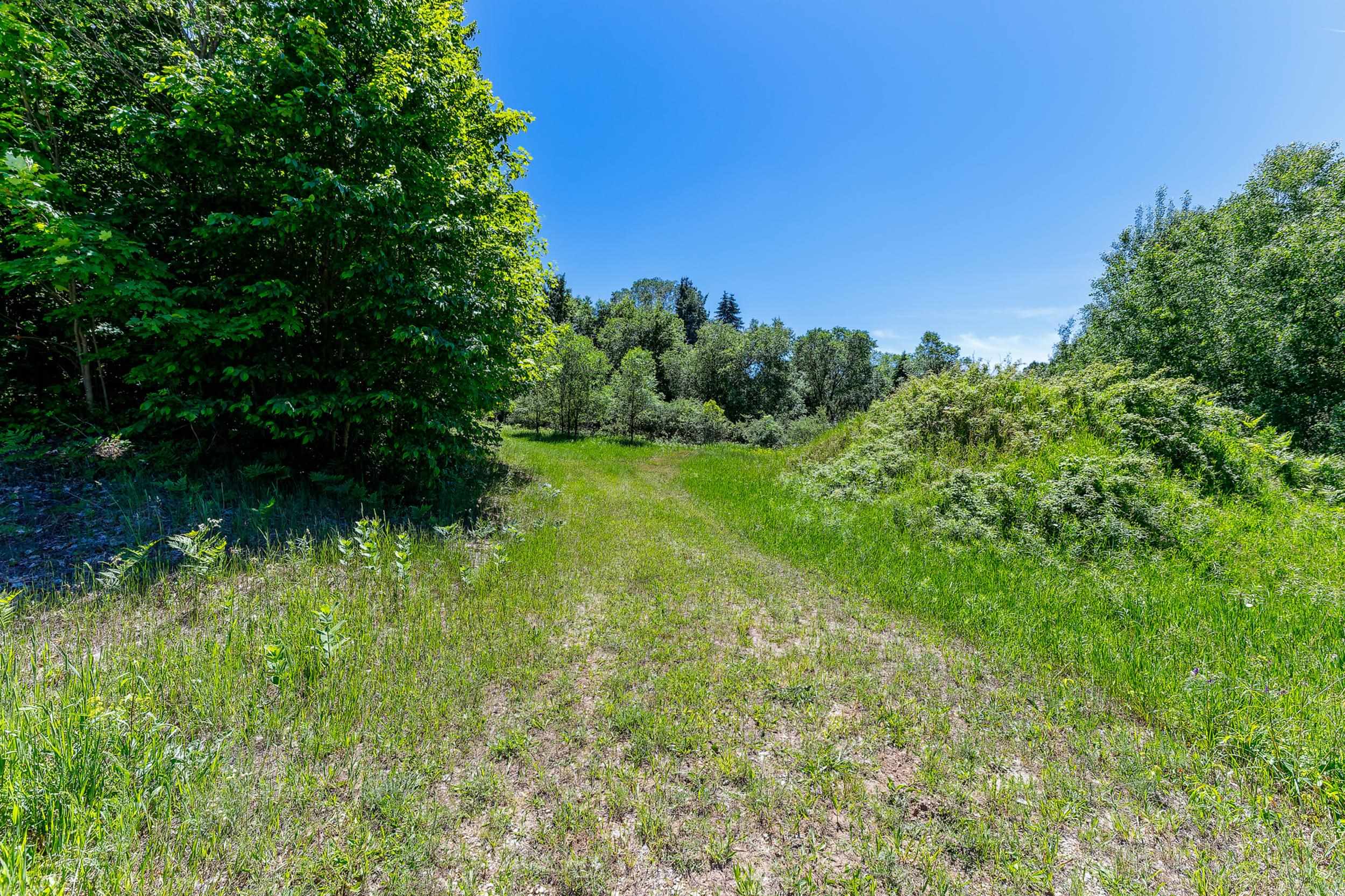 0 Nessen City Road Copemish, MI 49625 - Photo 5 of 17