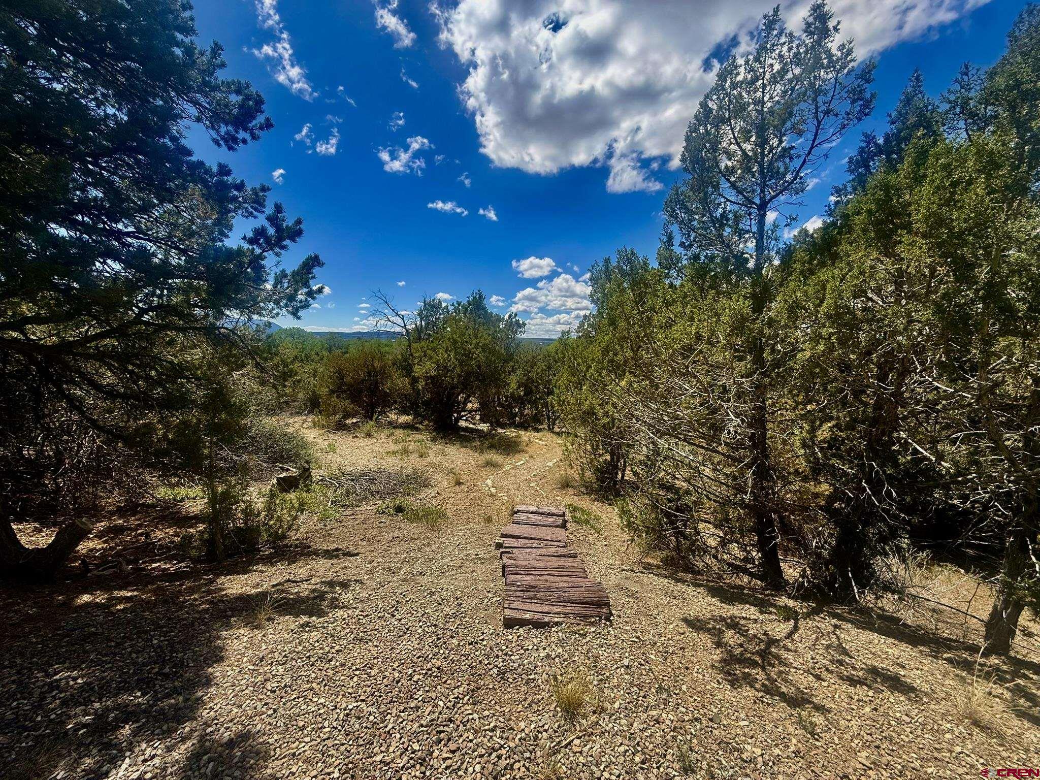 27255 Rd P Dolores, CO 81323 - Photo 38 of 45