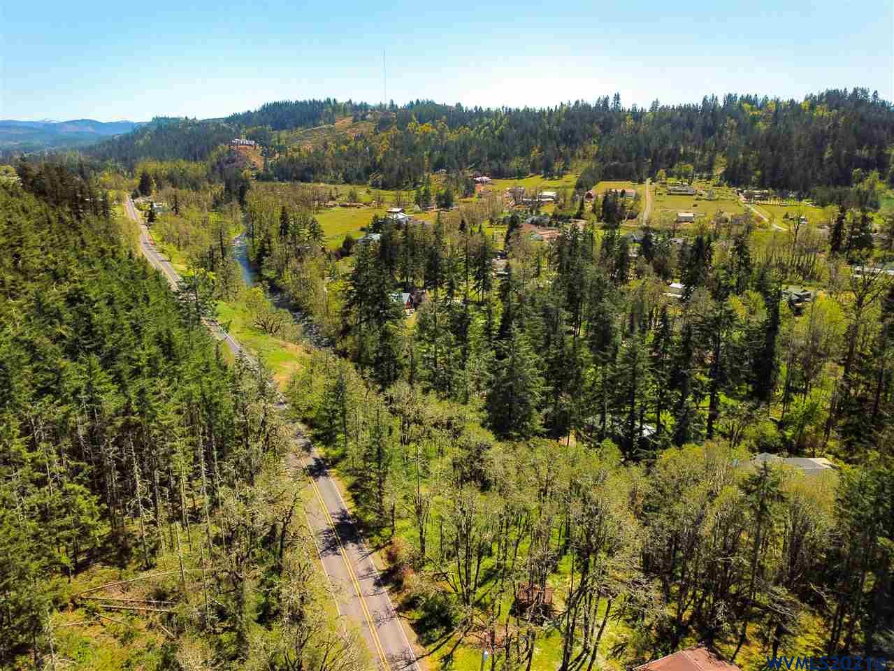 Abiqua (tax 352855) Road Silverton, OR 97381 - Photo 11 of 22
