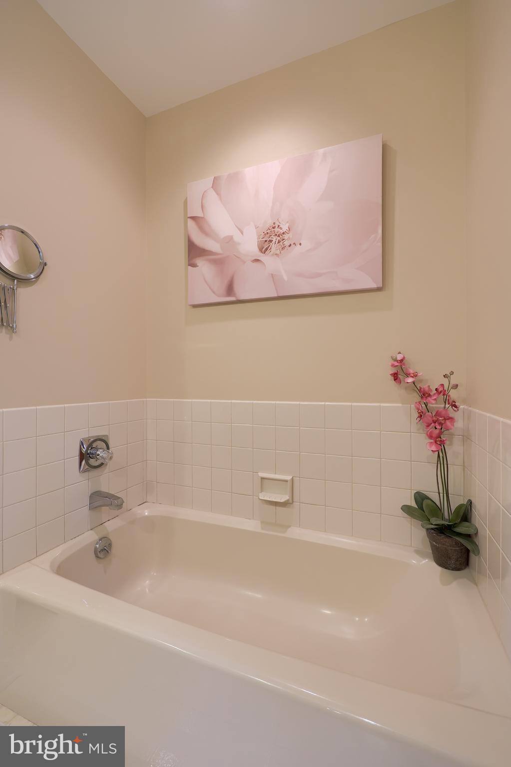 105 Hammersmith Lane Lititz, PA 17543 - Photo 29 of 49 a bathroom with a sink and a bathtub