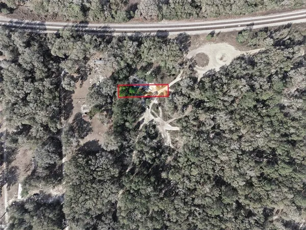 a view of a yard with a large tree