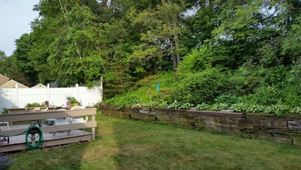 75 Maplewood Road Lynn, MA 01904 - Photo 11 of 12 Gallery Image 11