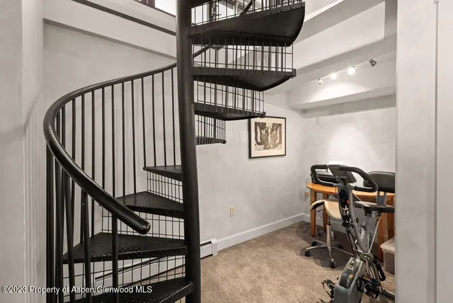 $13,000 | 250 South Original Street, Unit D, Aspen, CO 81611