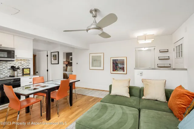 $13,000 | 250 South Original Street, Unit D, Aspen, CO 81611