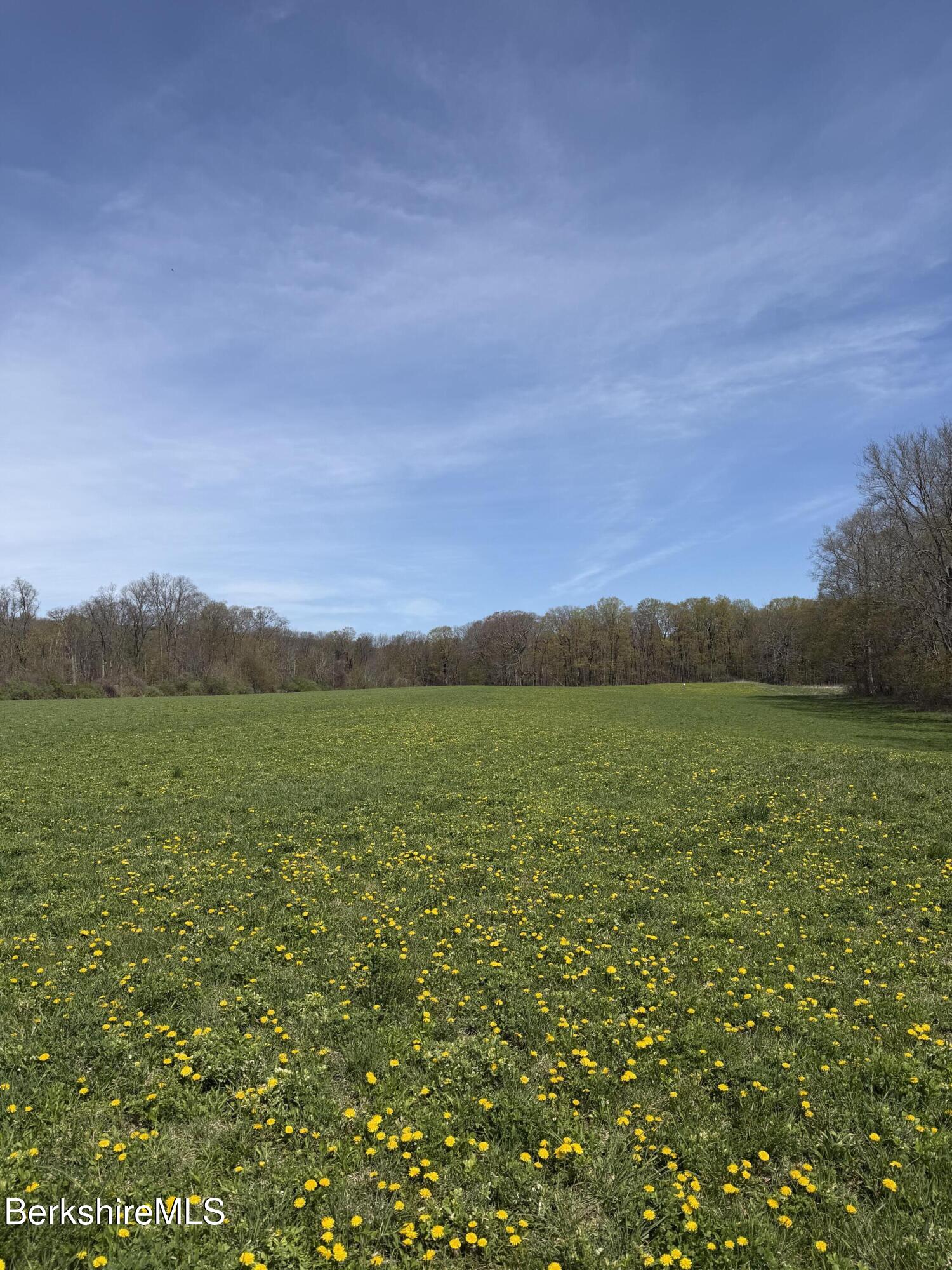 752 State Road Richmond, MA 01254 - Photo 64 of 71 18 Acre Pasture