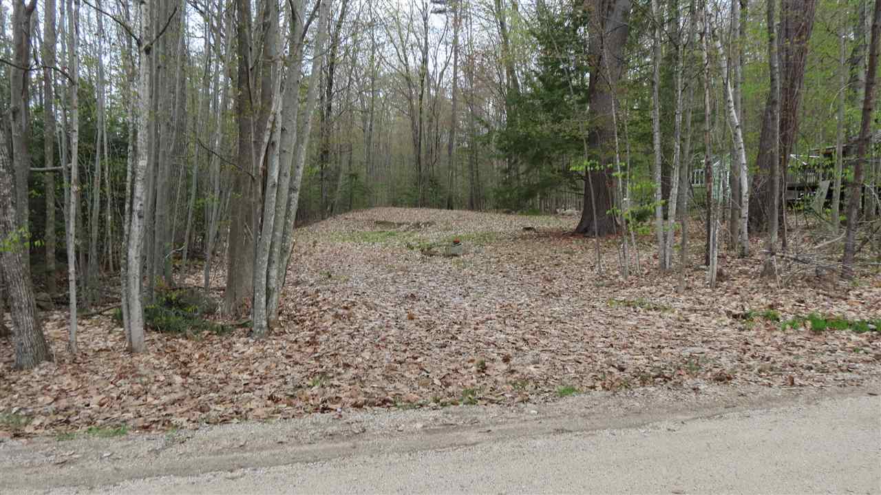 64 Colby Road Moultonborough, NH 03254 - Photo 1 of 8