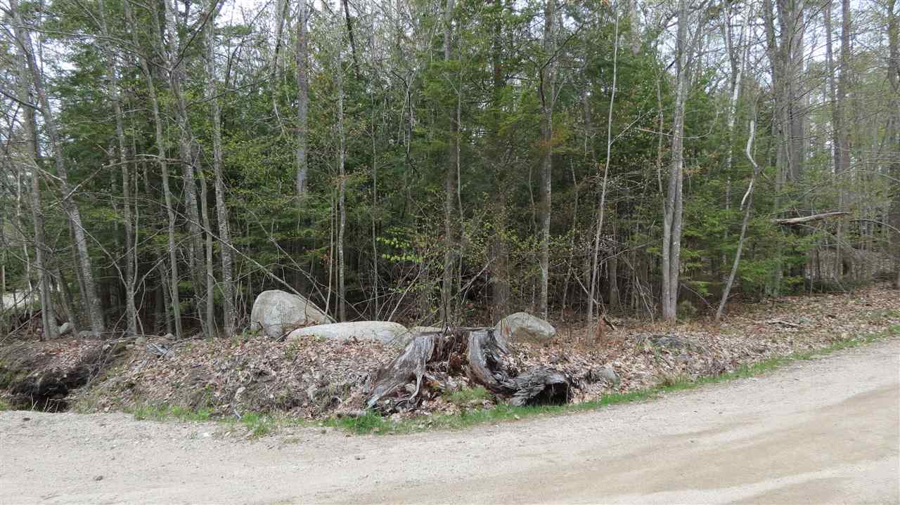 64 Colby Road Moultonborough, NH 03254 - Photo 6 of 8