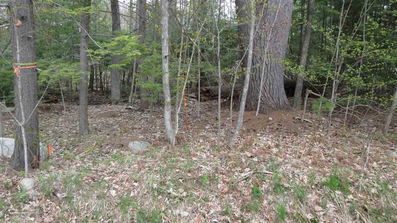 64 Colby Road Moultonborough, NH 03254 - Photo 7 of 8