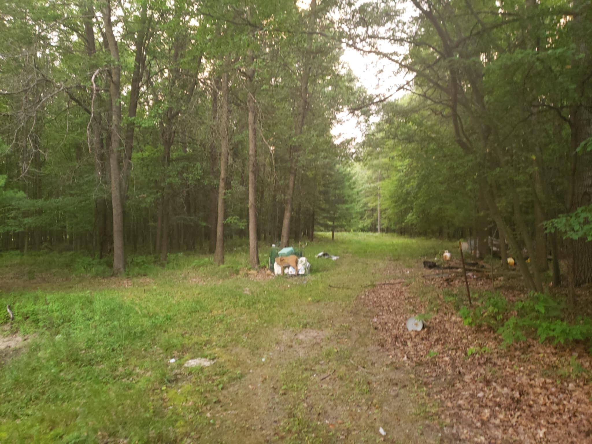 905 South Coleman Road Shepherd, MI 48883 - Photo 10 of 16 8