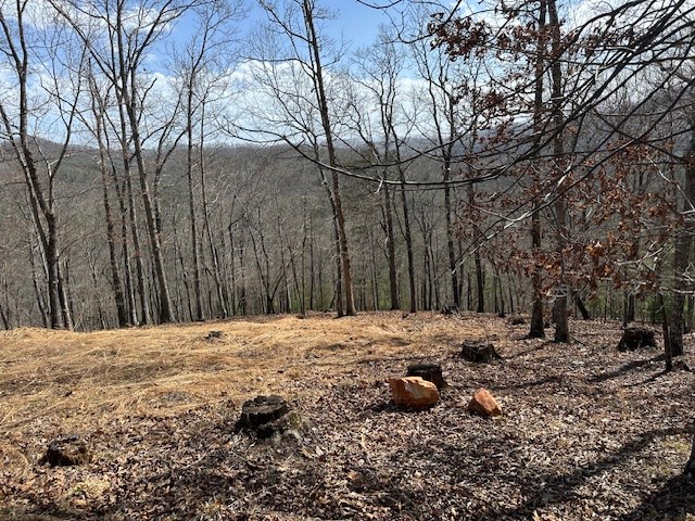 8 Thunder Road Hayesville, NC 28904 - Photo 2 of 9