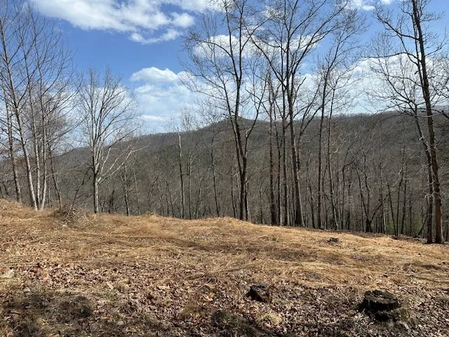 $68,000 | 8 Thunder Road, Hayesville, NC 28904