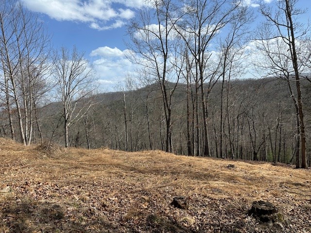 8 Thunder Road Hayesville, NC 28904 - Photo 3 of 9