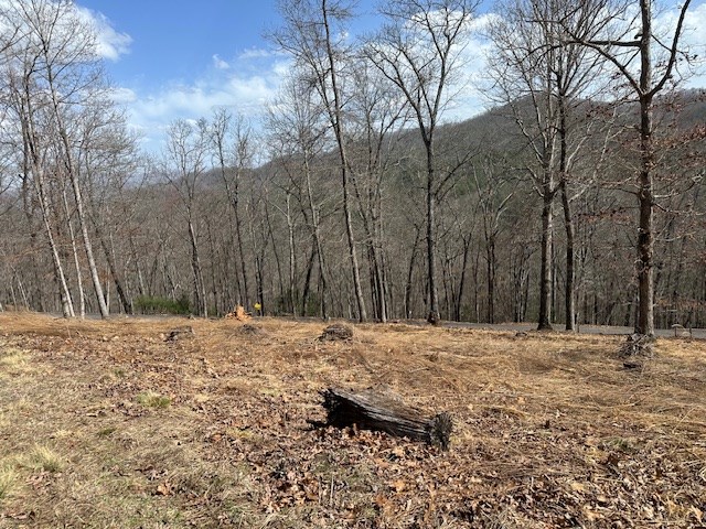 8 Thunder Road Hayesville, NC 28904 - Photo 5 of 9