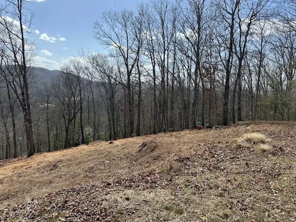 $68,000 | 8 Thunder Road, Hayesville, NC 28904