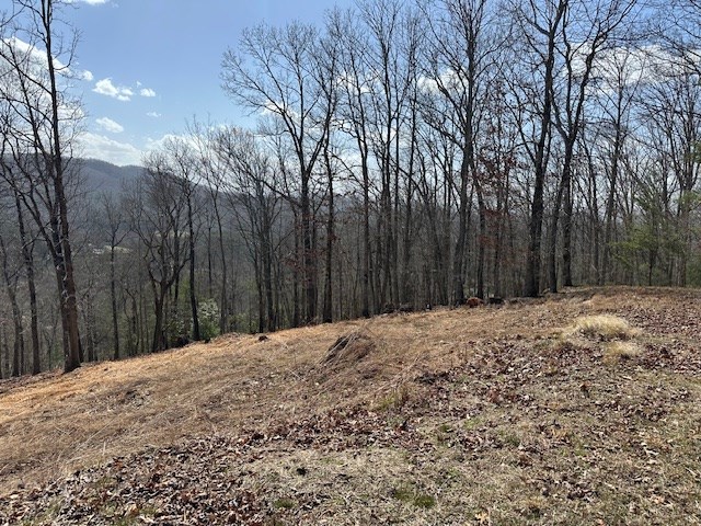 8 Thunder Road Hayesville, NC 28904 - Photo 6 of 9