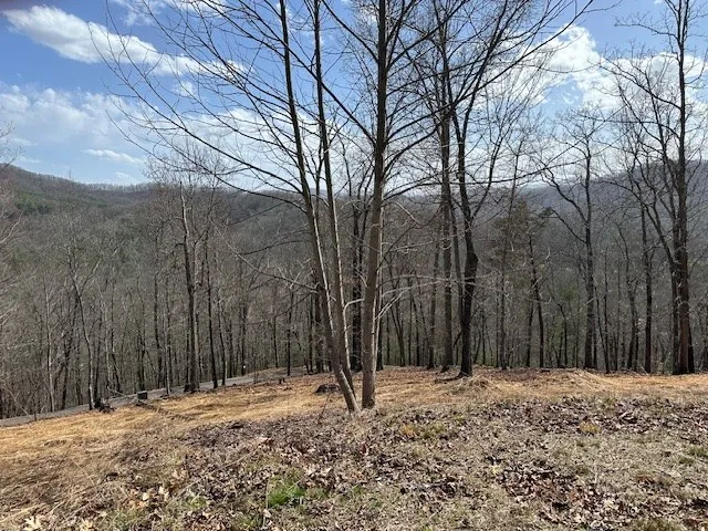 $68,000 | 8 Thunder Road, Hayesville, NC 28904