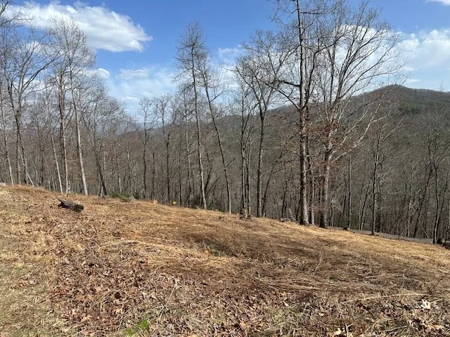 $68,000 | 8 Thunder Road, Hayesville, NC 28904