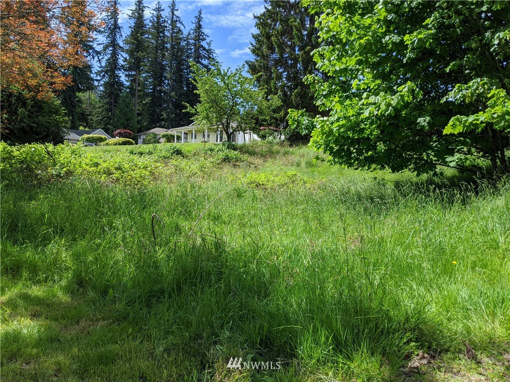 0 Fir Tree Way Bellingham, WA 98229 - Photo 1 of 5 Gallery Image 1